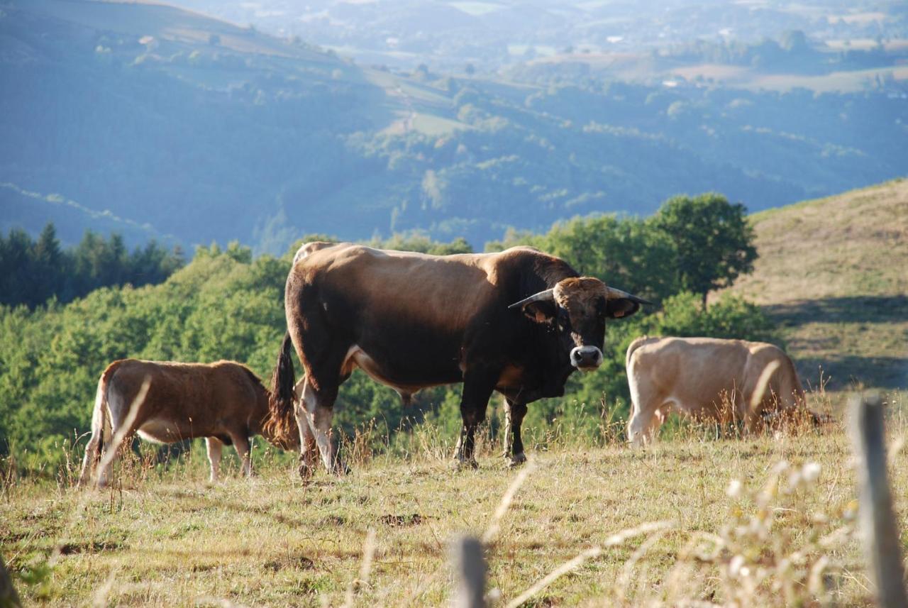 Gite De Sejour Haut 2 Gammes Saint-Hippolyte  Exterior foto